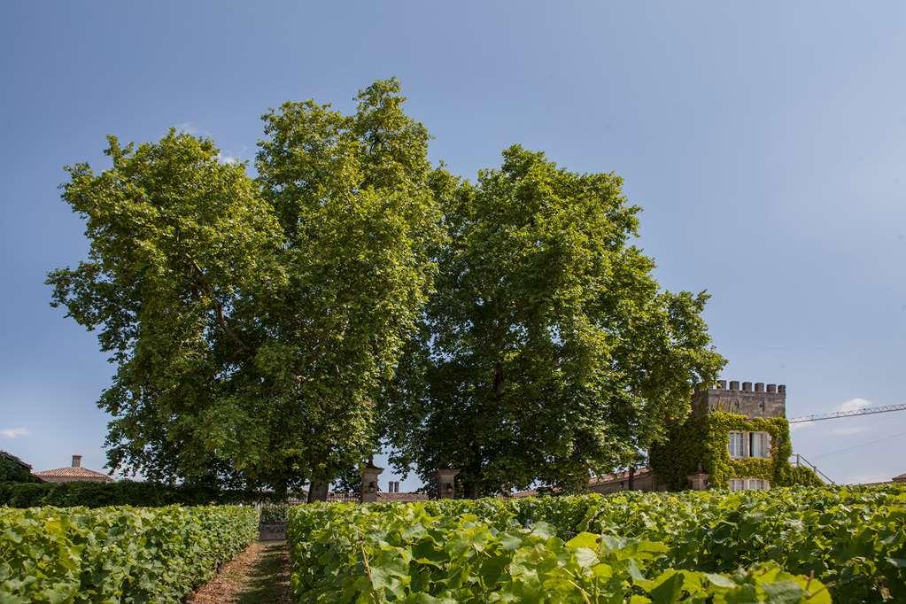 Chateau D'Arche, Grand Cru Classe De Sauternes Fasilitas foto