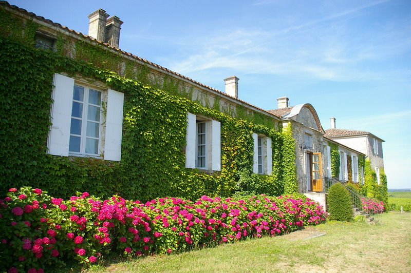 Chateau D'Arche, Grand Cru Classe De Sauternes Bagian luar foto